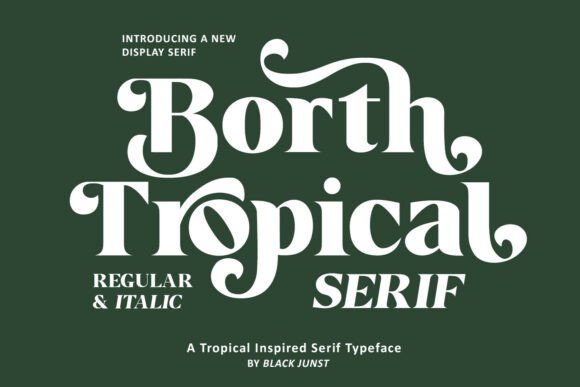 Borth Tropical Font: Elevate Your Brand with Modern Serif Typography