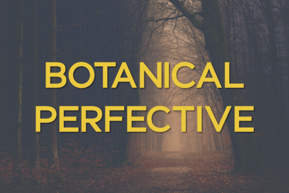 Botanical Perfective: A Modern Typeface for Digital Branding