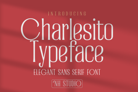 Charlesito Font: Modern Typography for Editorial Design