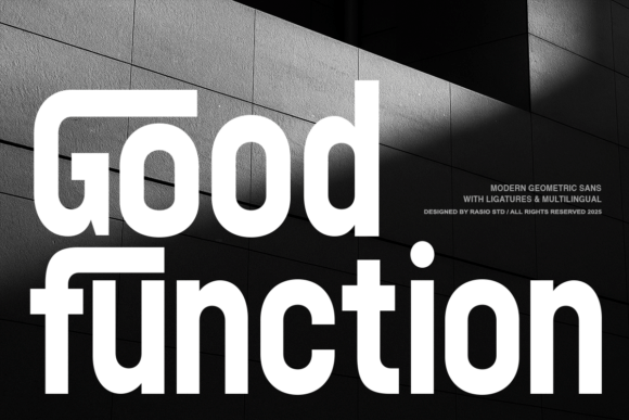 Good Function: A Practical Sans Serif for Real-World Design