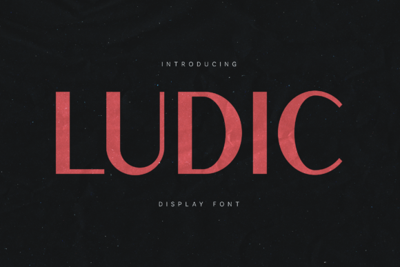 Ludic Font: A Bold Choice for Modern Web Design